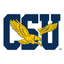 Coppin State Eagles