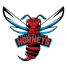 Delaware State Hornets