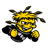 Wichita State Shockers
