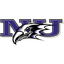Niagara Purple Eagles