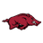 Arkansas Razorbacks